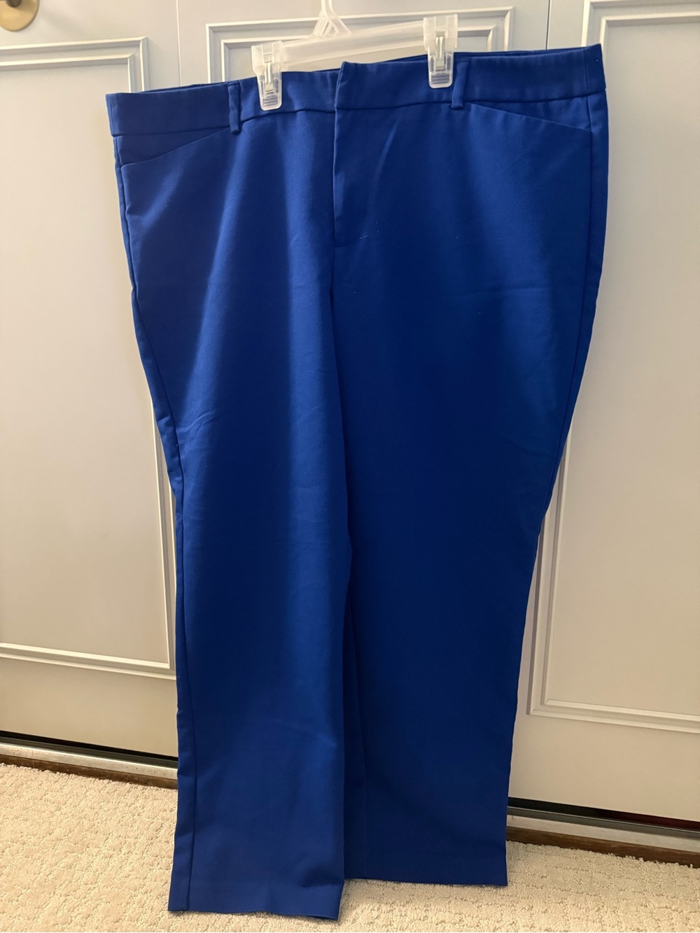 Elle Dress Pants in Cobalt Blue